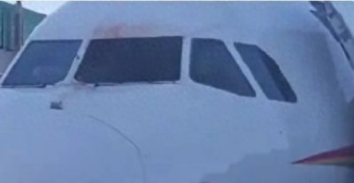 ​一民航飞机遭鸟撞后返航，鸟撞飞机有多可怕？