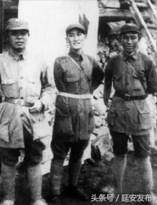 ​张持：独臂将军——左齐