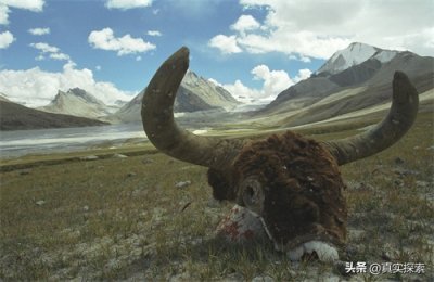 ​江河行之雅鲁藏布——01源头