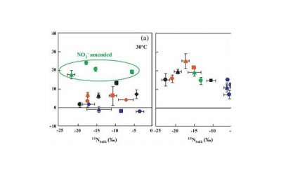 怎么表白最浪漫？15种浪漫的表白方式