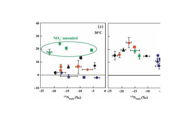 怎么表白最浪漫？15种浪漫的表白方式