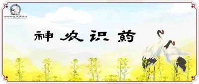 仙灵脾 《神农识药》疏调气机汤之仙灵脾