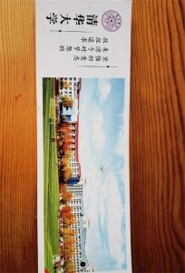 ​北大、清华夏令营