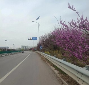 ​曹县魏湾镇村落｜董楼新村