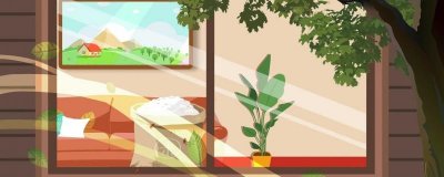 ​飓风和台风有什么区别