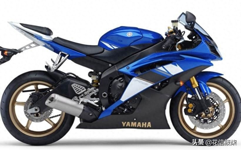 新旧款R6美图欣赏,哪款是你的菜