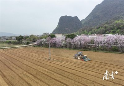 ​英德大湾镇：凝聚社会各界力量，建设“水韵麒舞、绿美大湾”