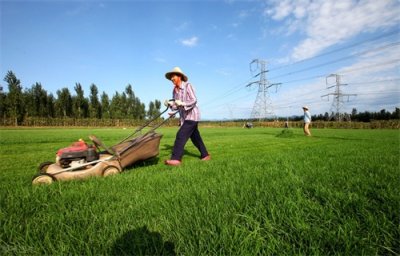 ​“勤劳”和“致富”没有必然联系