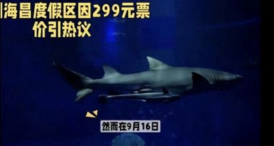 ​河南郑州海洋馆，299元门票只能看假鲨鱼：景区回复那是科技狠活