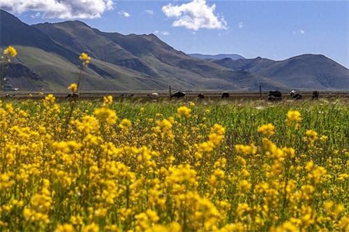 中国西藏：纳木错湖