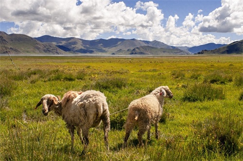 中国西藏：纳木错湖