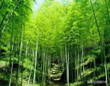 ​湖南这个县被称为美人窝，差点被一个600亿的项目砸中