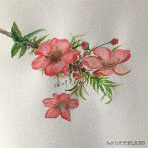 ​手绘简约风格的《桃花》，大人和孩子一看就会，内附详细教程