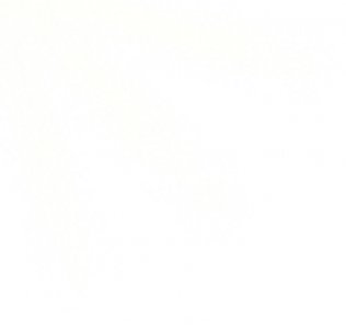 ​那些你眼中青春的颜色