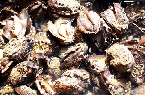 厦门八市海鲜到底都有啥，为什么人们扎堆儿抢着买