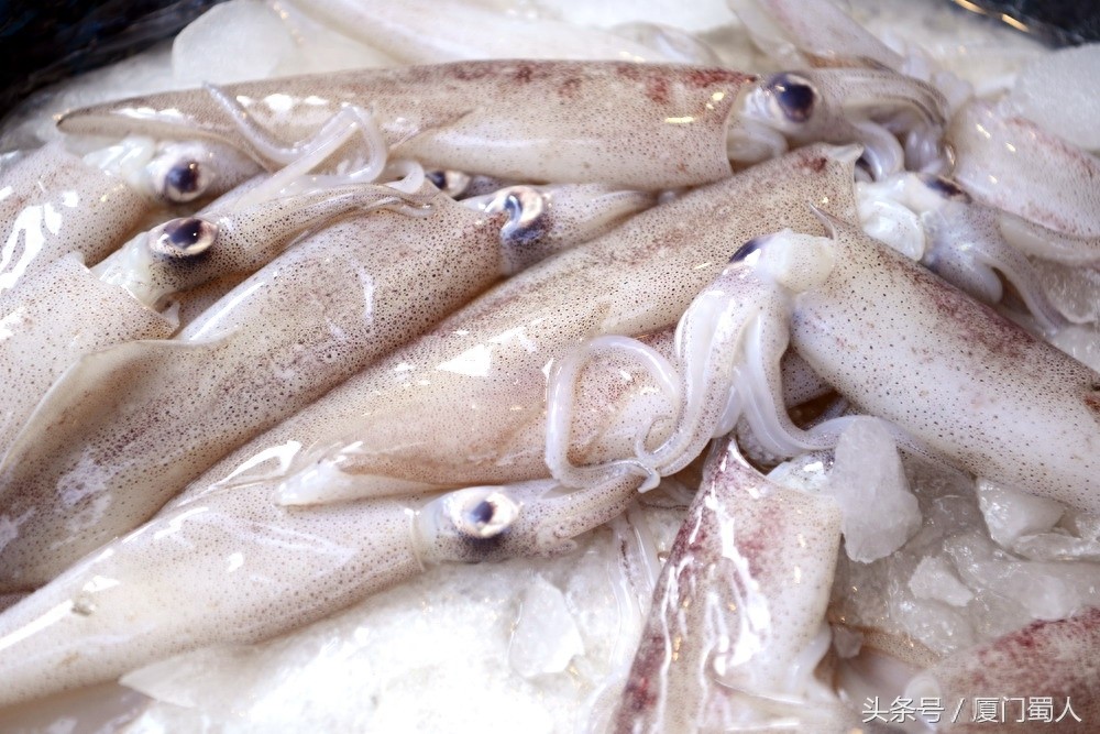 厦门八市海鲜到底都有啥，为什么人们扎堆儿抢着买
