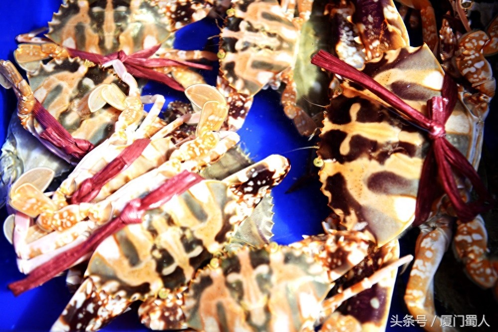 厦门八市海鲜到底都有啥，为什么人们扎堆儿抢着买
