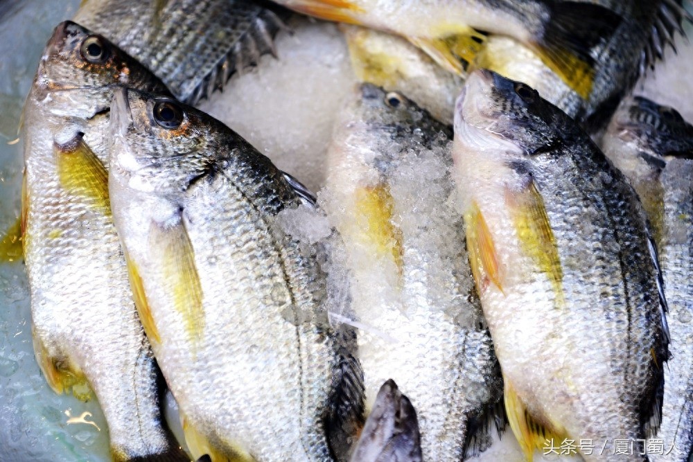 厦门八市海鲜到底都有啥，为什么人们扎堆儿抢着买