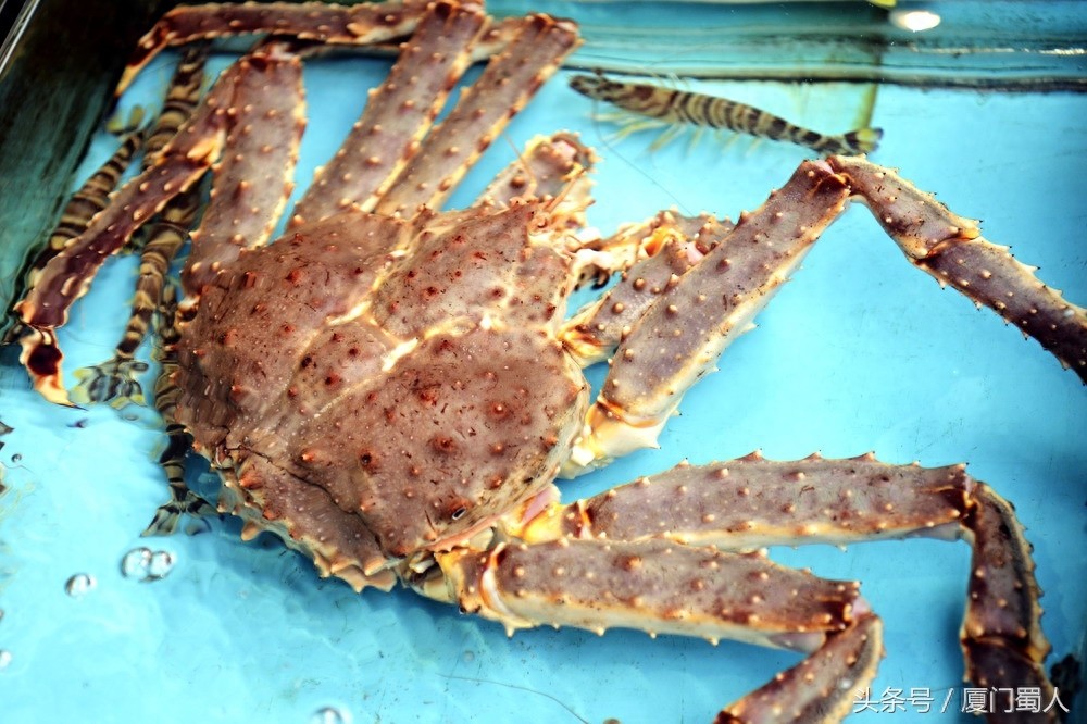 厦门八市海鲜到底都有啥，为什么人们扎堆儿抢着买