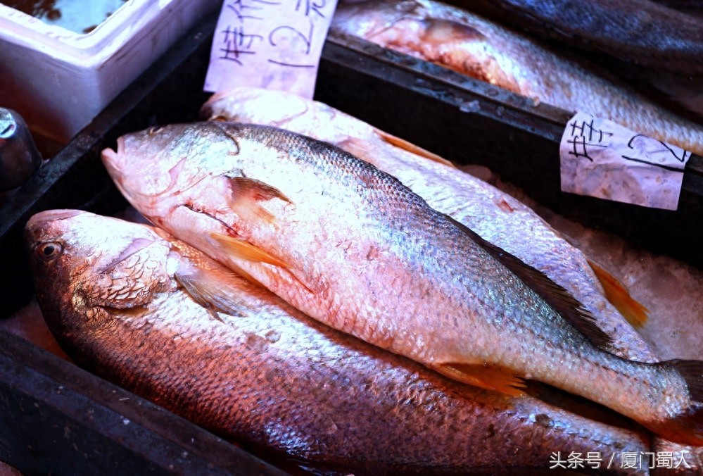 厦门八市海鲜到底都有啥，为什么人们扎堆儿抢着买