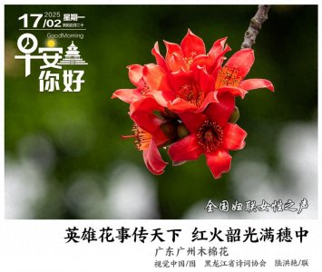 ​早安，你好｜微信上线“AI搜索”，你用上了吗？