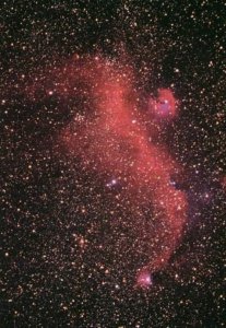 ​天兔座-在追逐中奔跑的星座