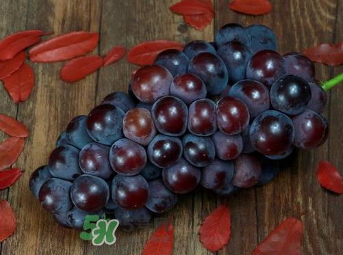 户太八号多少钱一斤？户太八号为什么在全国很有名？