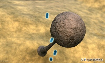 ​抗生素药有哪些种类（青霉素和阿莫西林，哪个才是抗生素的“扛把子”，听医生