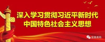 ​宜昌人 政府喊你来领补贴了，坐在家里就能领取！