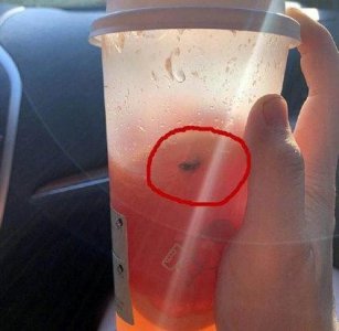 ​喜茶再曝卫生问题，孕妇喝出绿头苍蝇！喜茶：区域经理及店长停职