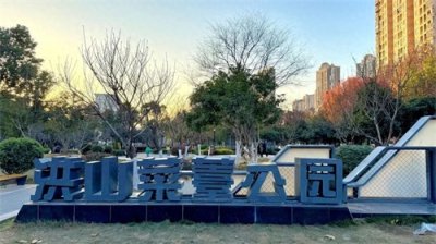 ​大武汉一日︱武汉有个菜薹公园，被我发现了