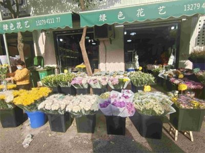 ​西安花市康乃馨价格创新低 10元能买到20支