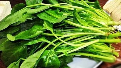 ​一家四口全部中毒！警惕：无特效药，严重会要命！