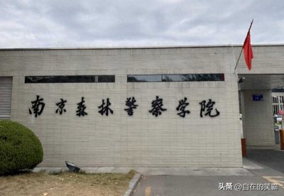 ​南京森林警察学院：绿色长城，培育森林卫士的摇篮