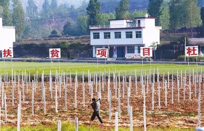 ​什么是专项审计？再难，审计整改也要完成？