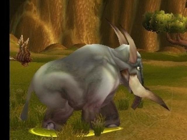 tbc钓鱼1到300攻略（Tbc星界财团快速冲法）(4)