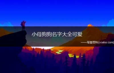 小母狗狗名字大全可爱（给小母狗取可爱名字怎么取了）