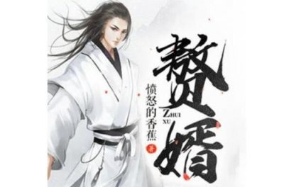 ​赘婿原著穿越的有几个人