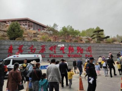 ​西宁野生动物园门票多少