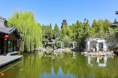 ​五一去哪玩？微山湖旅行攻略请查收！