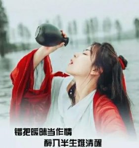 ​“错把陈醋当成墨，写尽半生纸上酸。”的前情后事