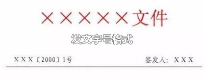 ​发文字号格式
