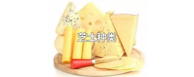 ​芝士种类