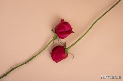 ​代理人是什么意思(职务代理人是什么意思)
