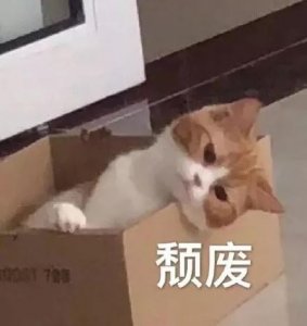 ​130斤“被减肥”？人气颜值女神被网友狠批大象腿