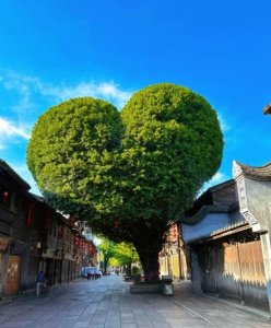 ​福州一日游必去的6个景点，不去等于白来