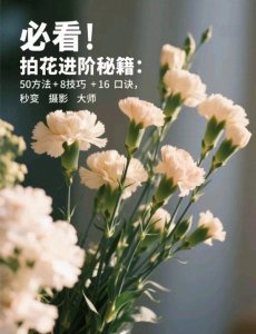 ​蹇呯湅鉂?鎷嶈姳杩涢樁绉樼睄锛?0鏂规硶 + 8鎶€宸?+ 16鍙ｈ瘈锛岀鍙樻憚褰卞